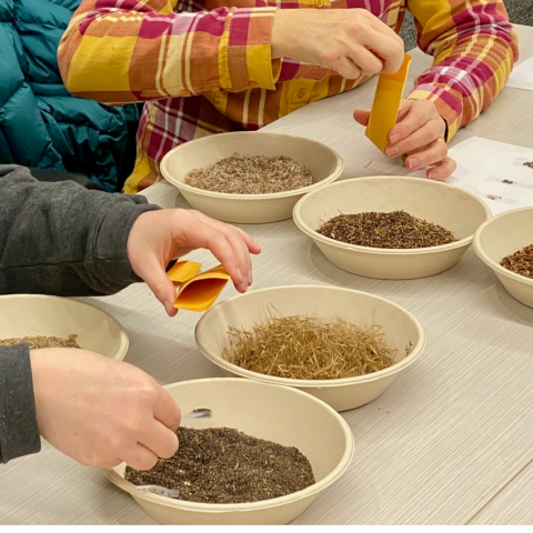Bowls of seeds with people packaging them in envelopes