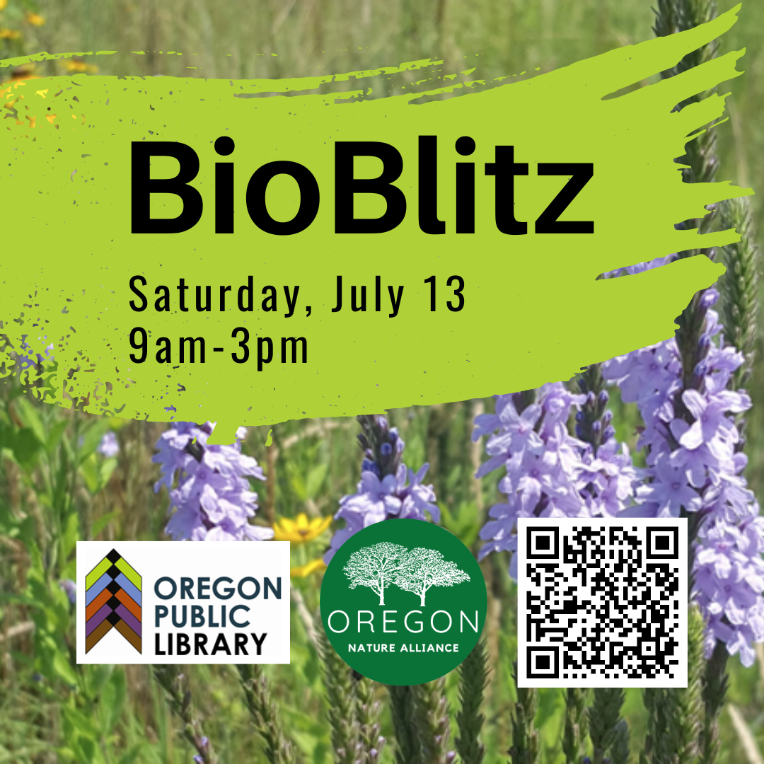 BioBlitz Saturday July 13